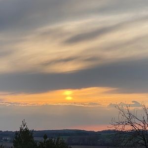 Meet your Posher, Brady